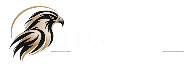 The Teg Collection